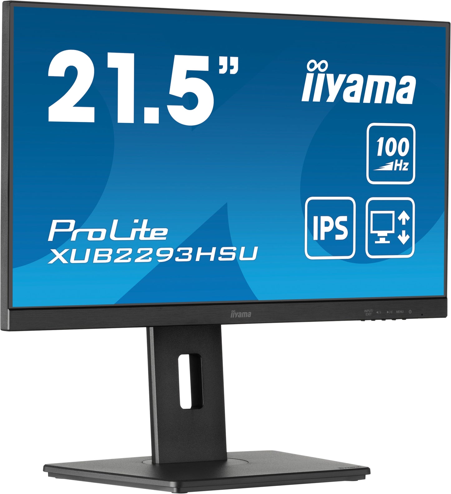 iiyama ProLite XUB2293HSU-B6 24" 1920 x 1080 pixels Full HD LED IPS Display