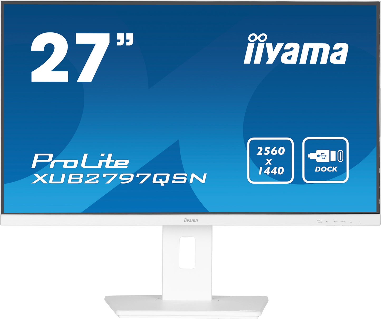 iiyama ProLite XUB2497HSN-B1 24" LED Full HD Display with USB-C & RJ45 (LAN) in White